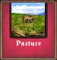pasture